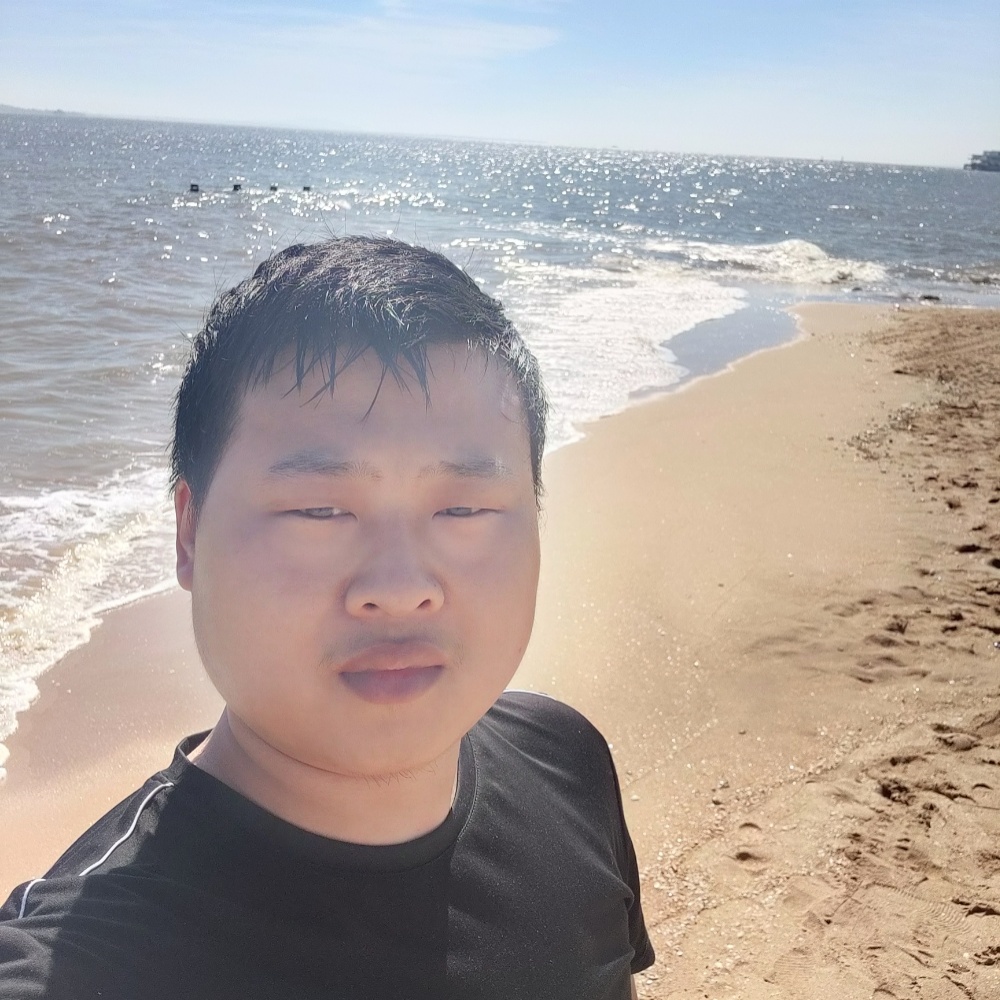 风之舞动的照片