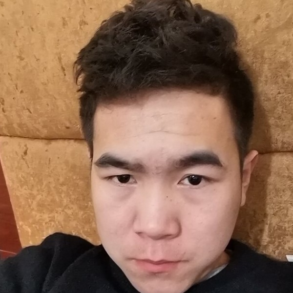 绿草浅吻生动的照片