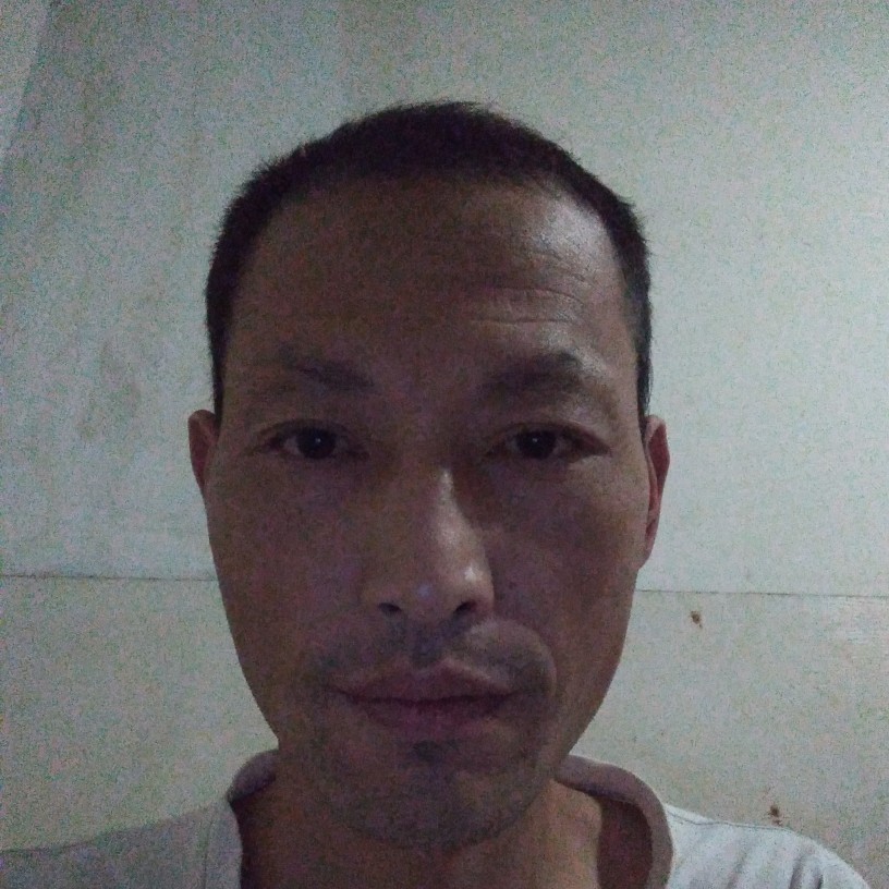 醉在春天的照片