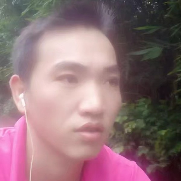 自然等于小蜜蜂的照片