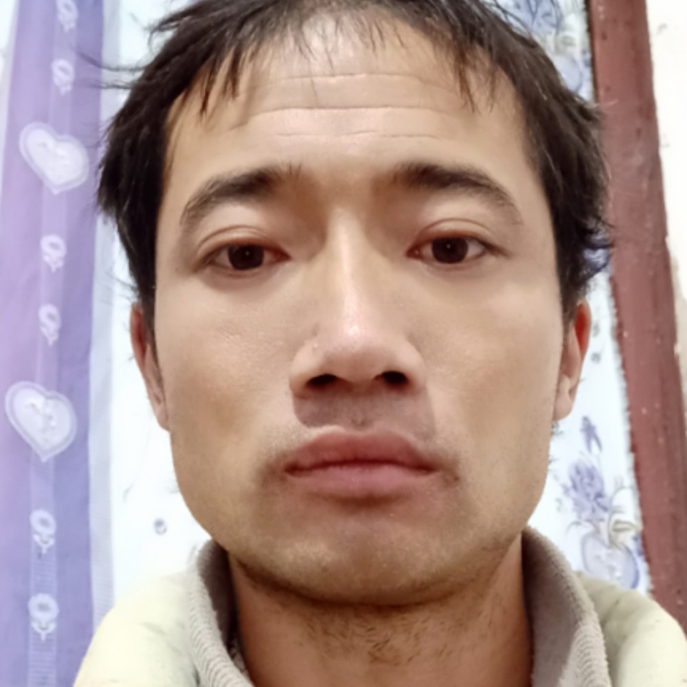 森槿温暖的照片