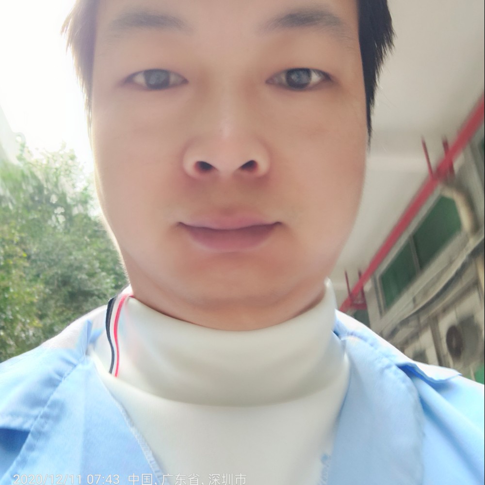 典雅拾忆小海豚的照片