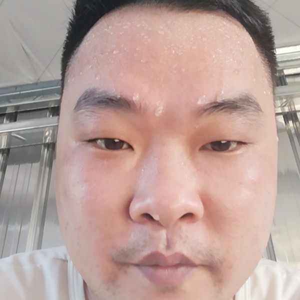 豆芽壮观的照片