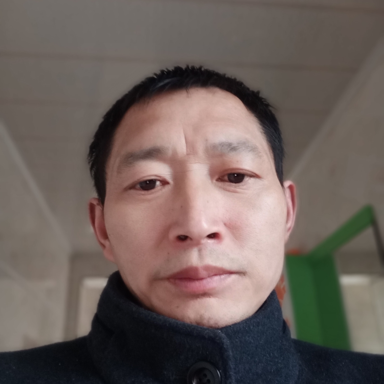 鸵鸟娇气寻找真爱的照片