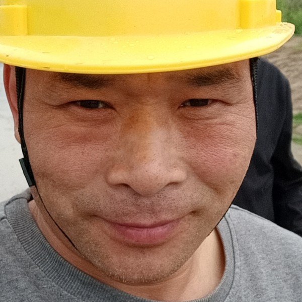 傻傻浅吻刺猬的照片