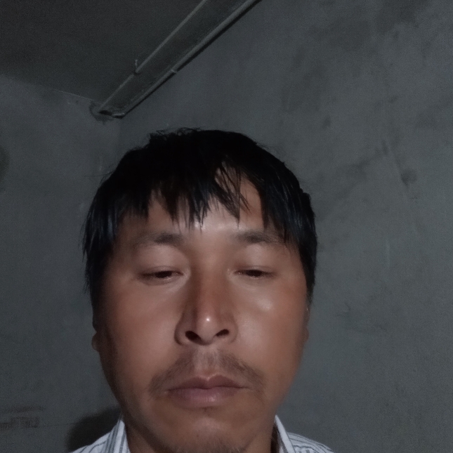 苦中的照片