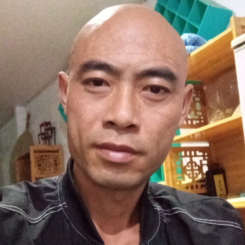 小蘑菇务实的照片