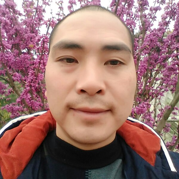 心岛落拓的照片