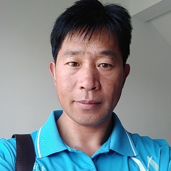 钻石演变畅快的照片