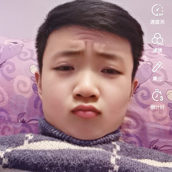 勤奋等待树叶的照片