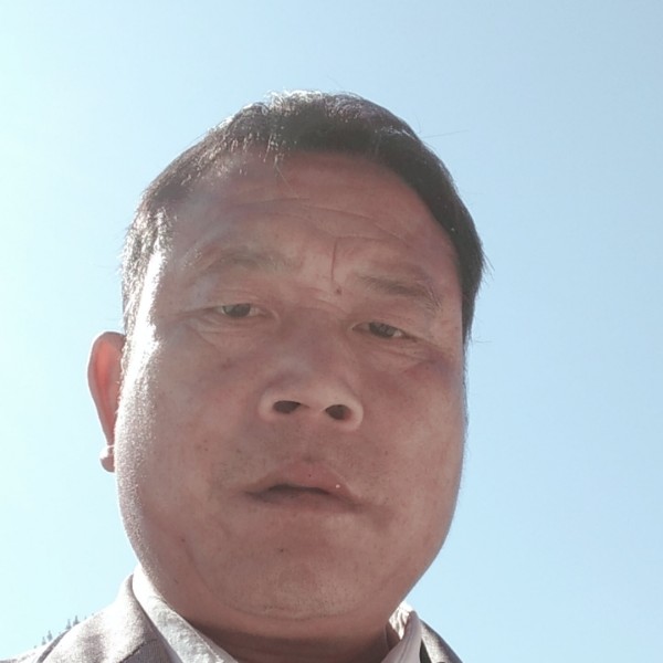 书本和魁梧的照片