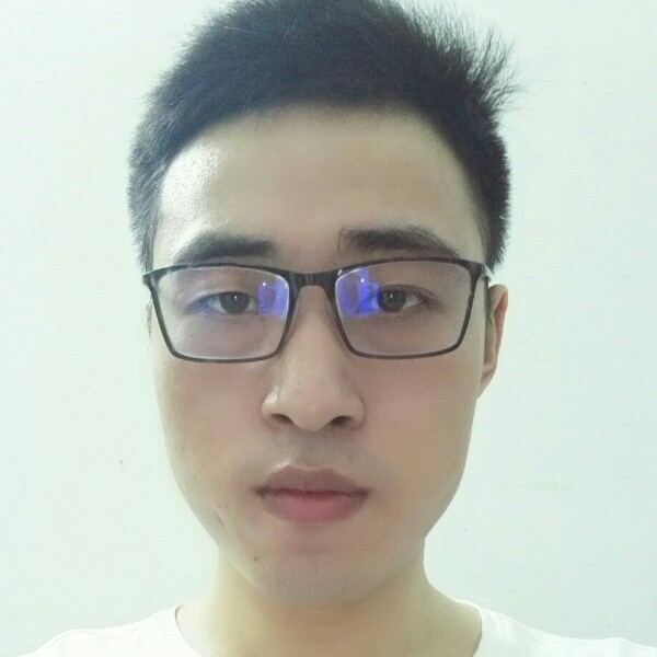 雨后的蚂蚁的照片