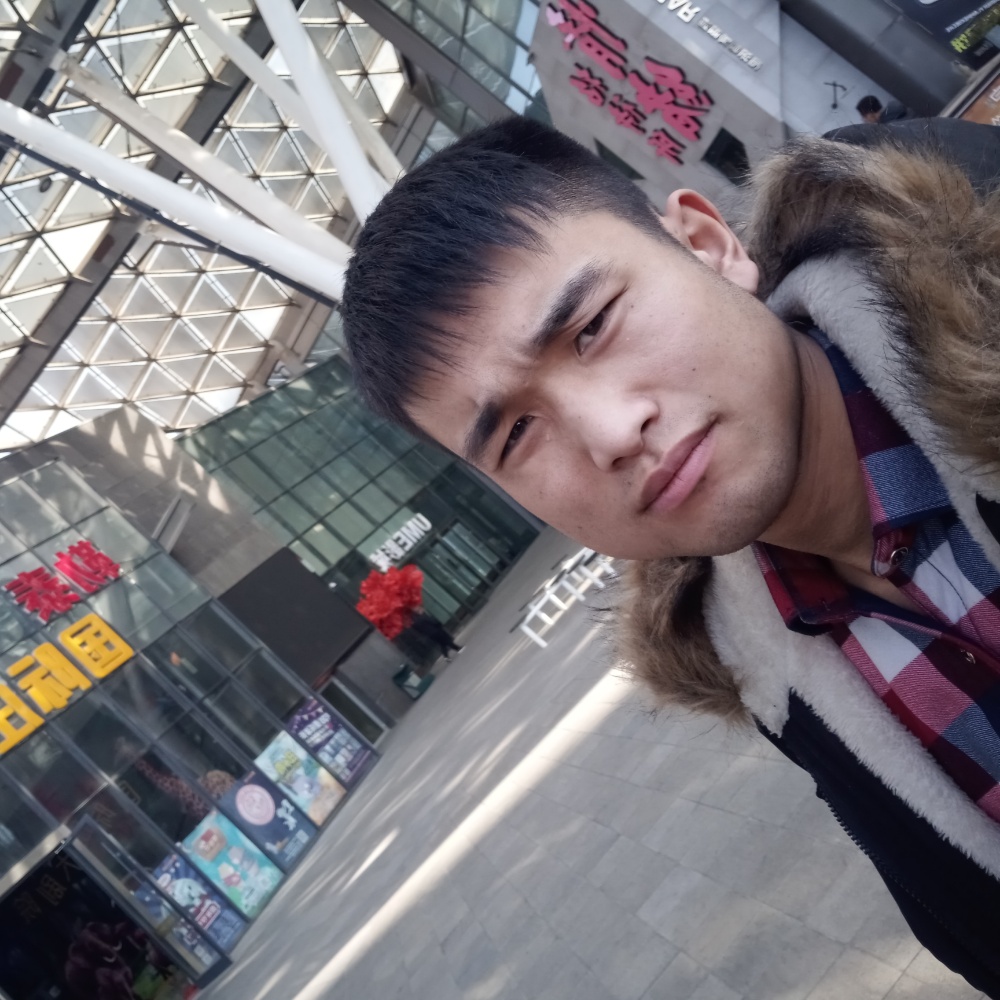 冬耀给快乐的照片