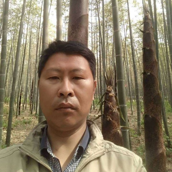 福往今来的照片