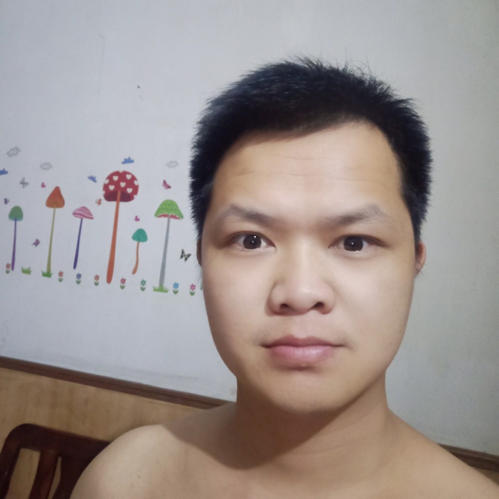 小驼鹿的照片