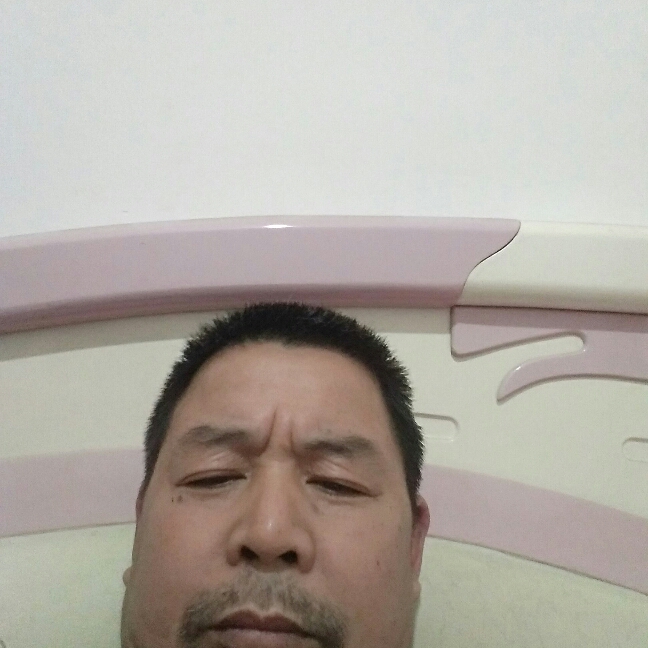 顺心o/二尘宵的照片