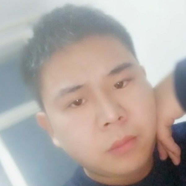 孤独的小刺猬的照片