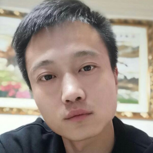 彩色邂逅鸭子的照片