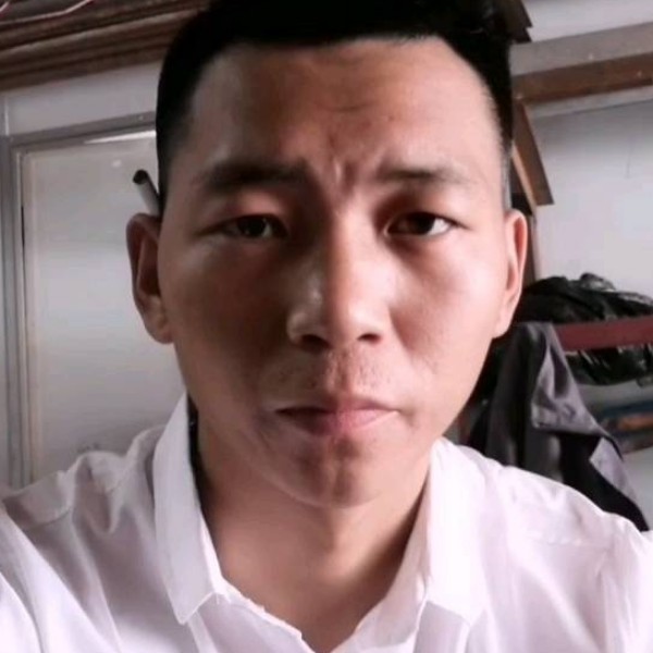 野性愿蚂蚁的照片