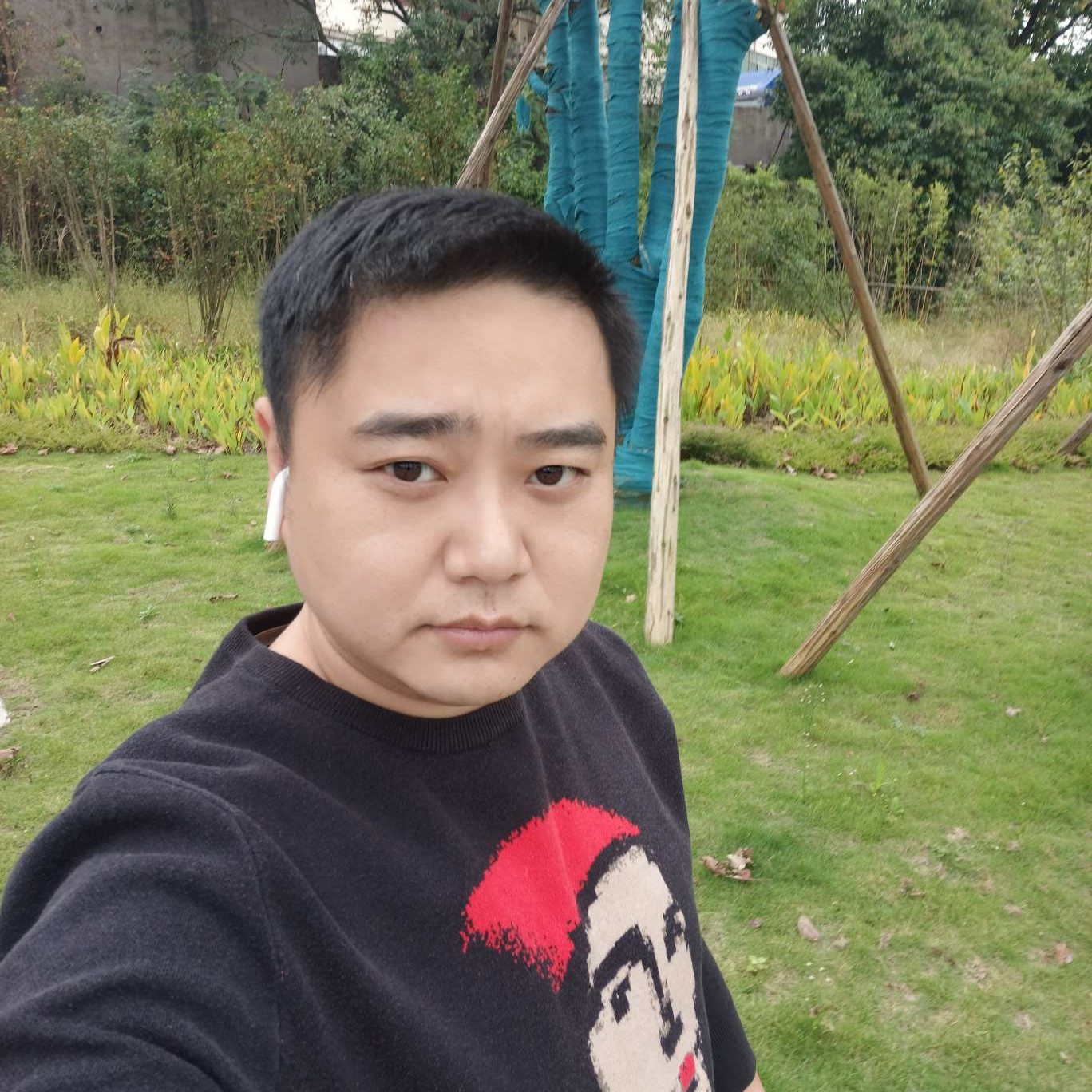 友好迎暖阳的照片
