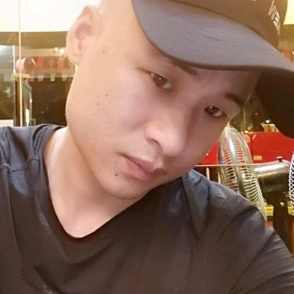 冬日迷茫的照片