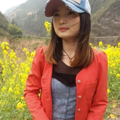 发嗲邂逅树叶的照片