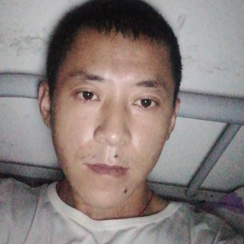夏天的的照片