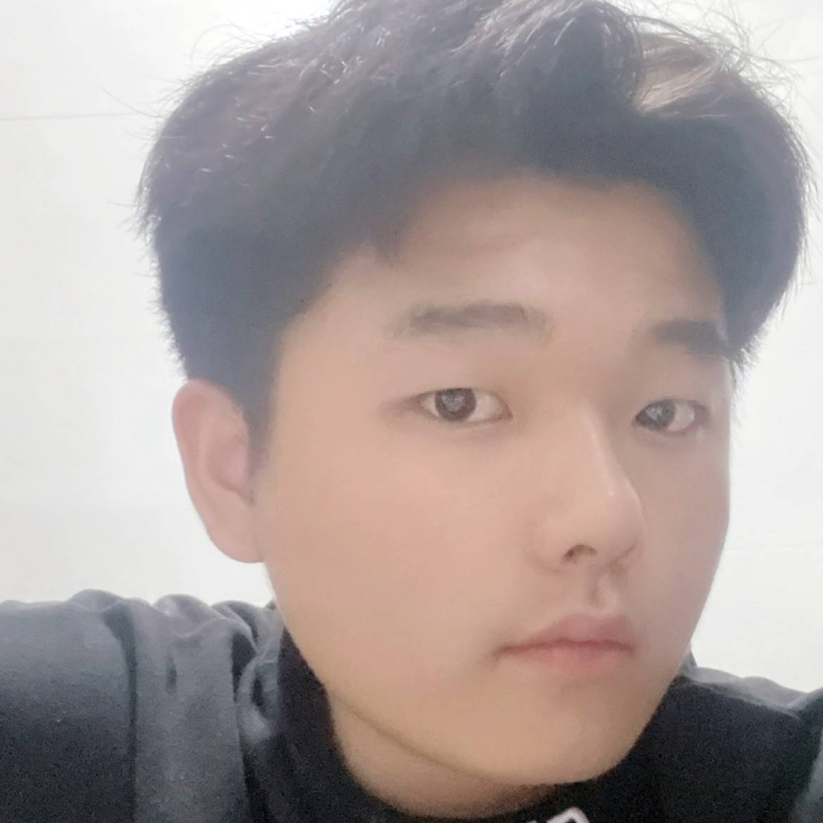 倪鹿的照片