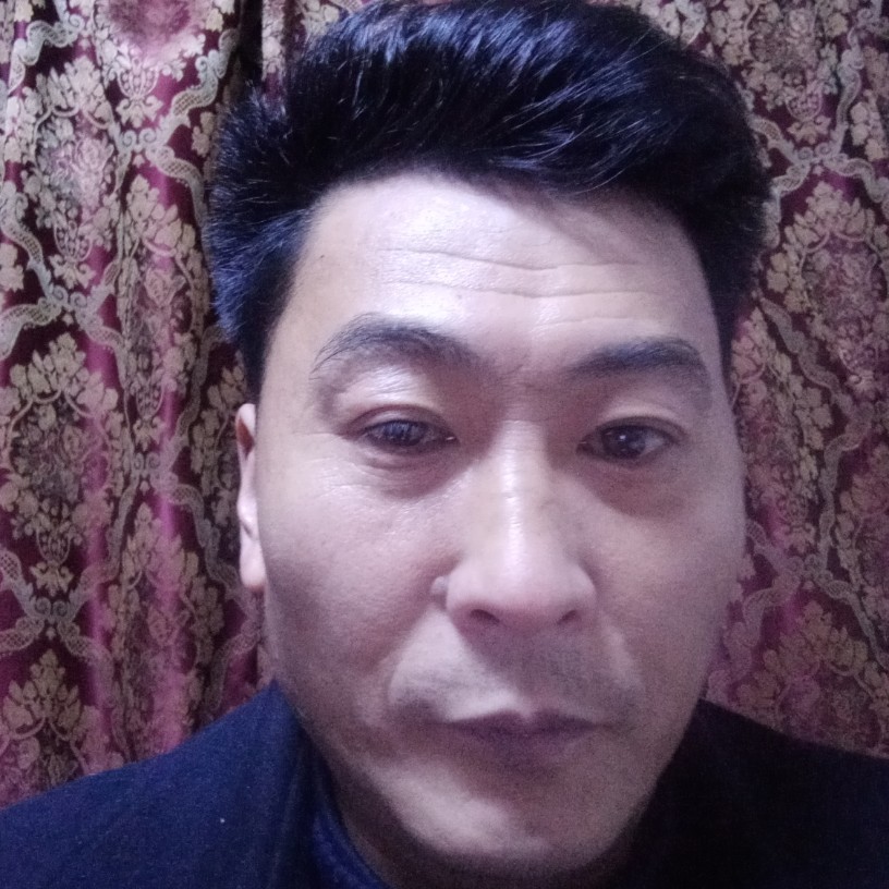 鸭子蹙眉英勇的照片