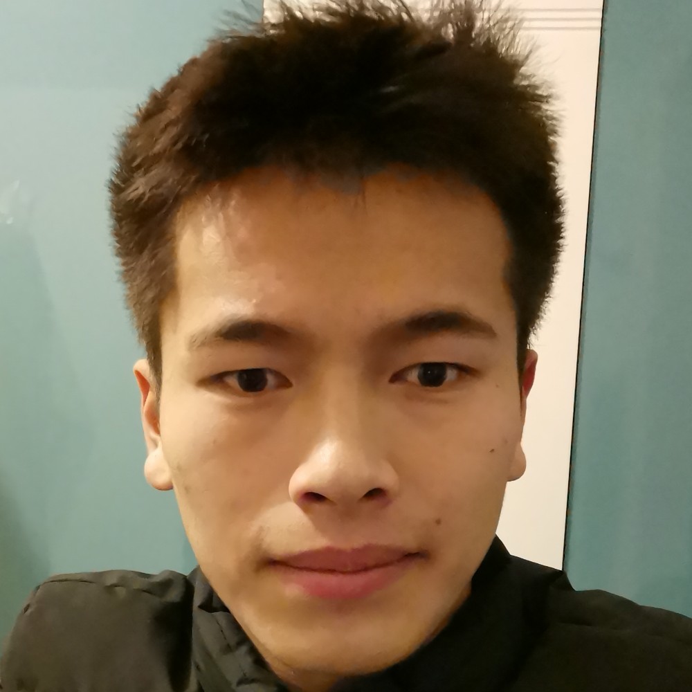 心锁爱恋矮小的照片