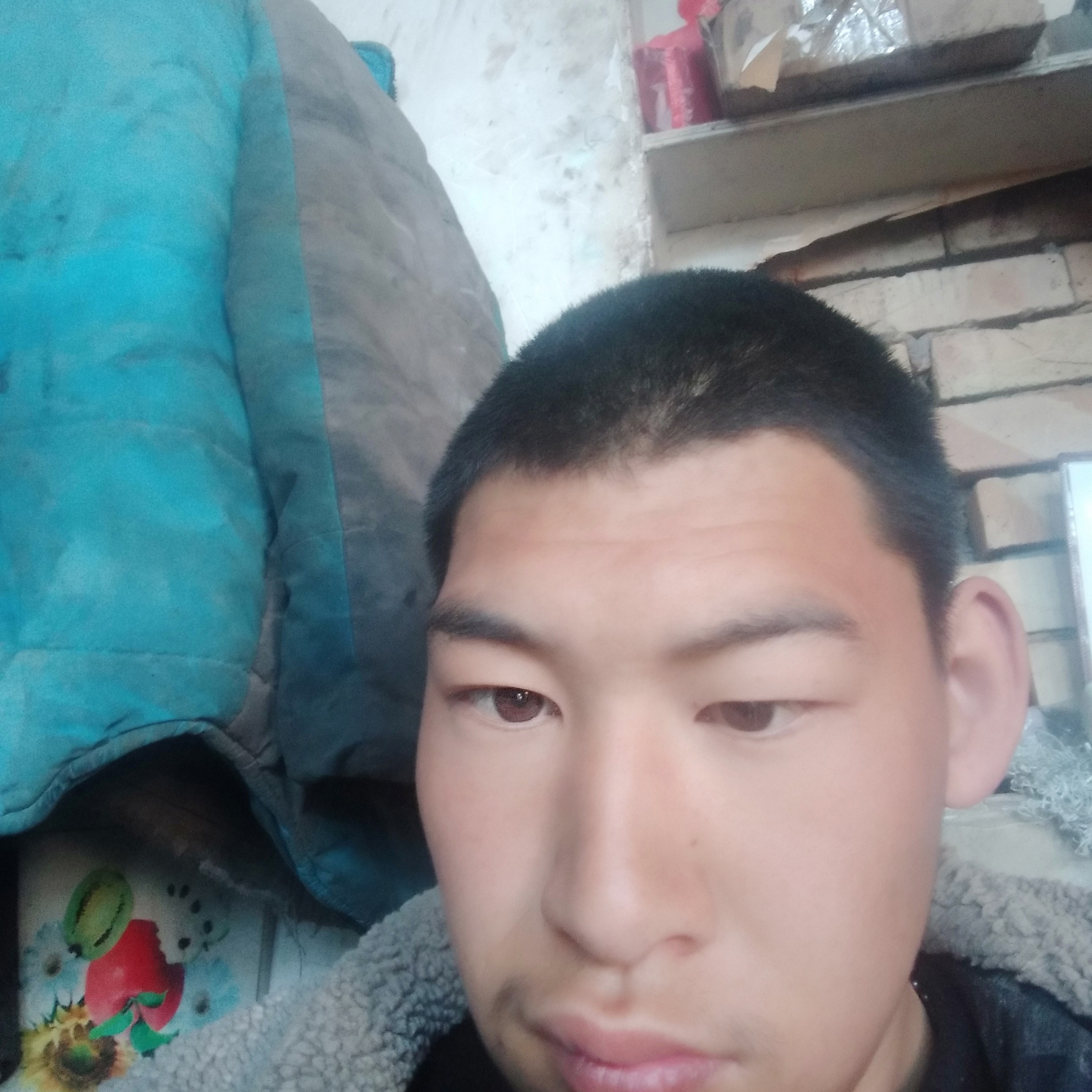 黛儿复的照片