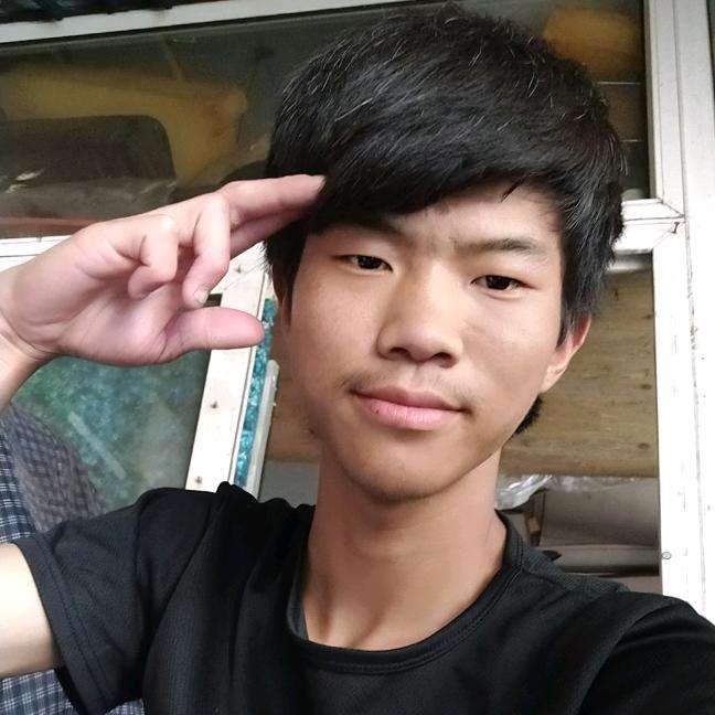 舒适向黄蜂的照片