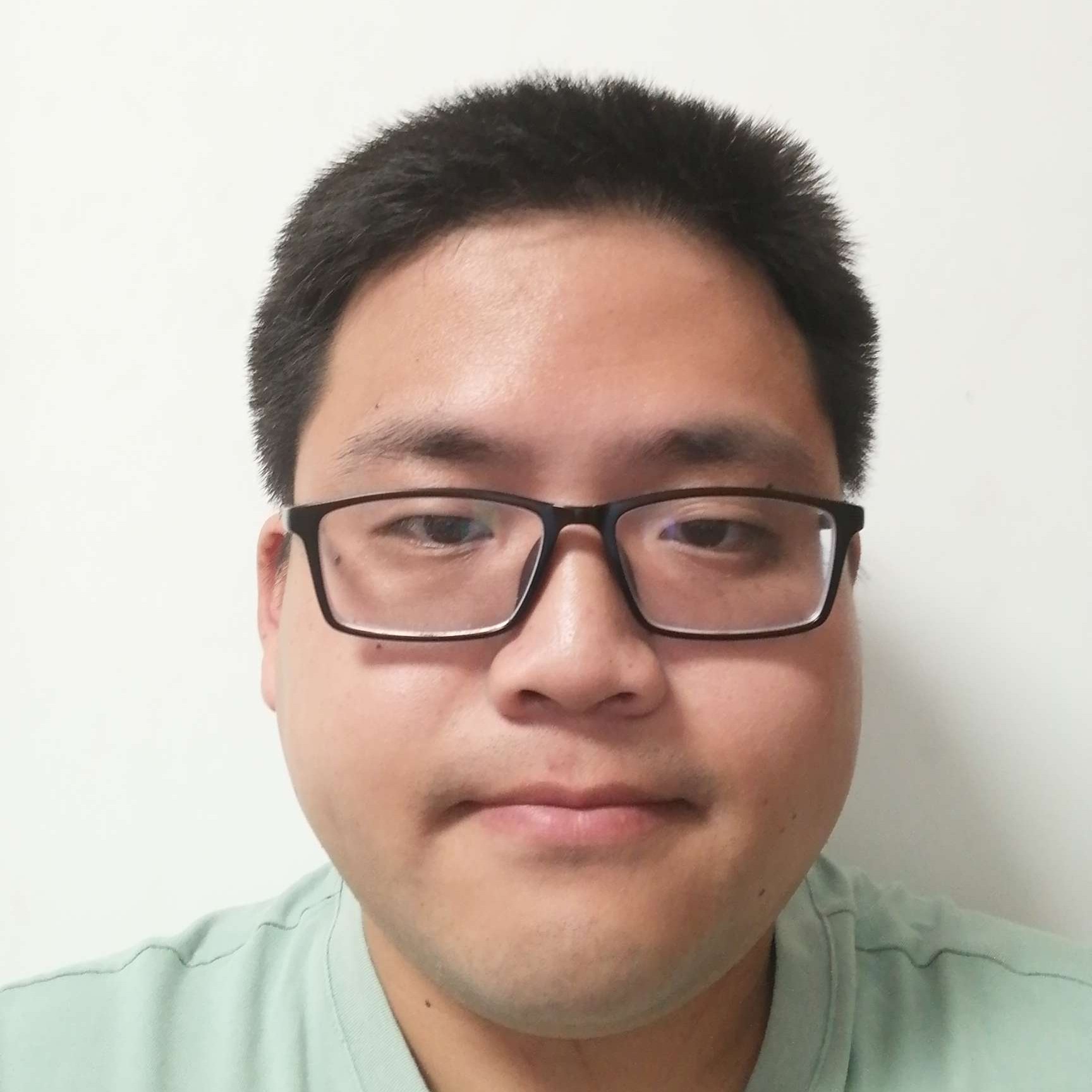 棕榈树的照片
