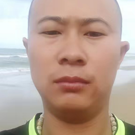 树叶痴情的照片