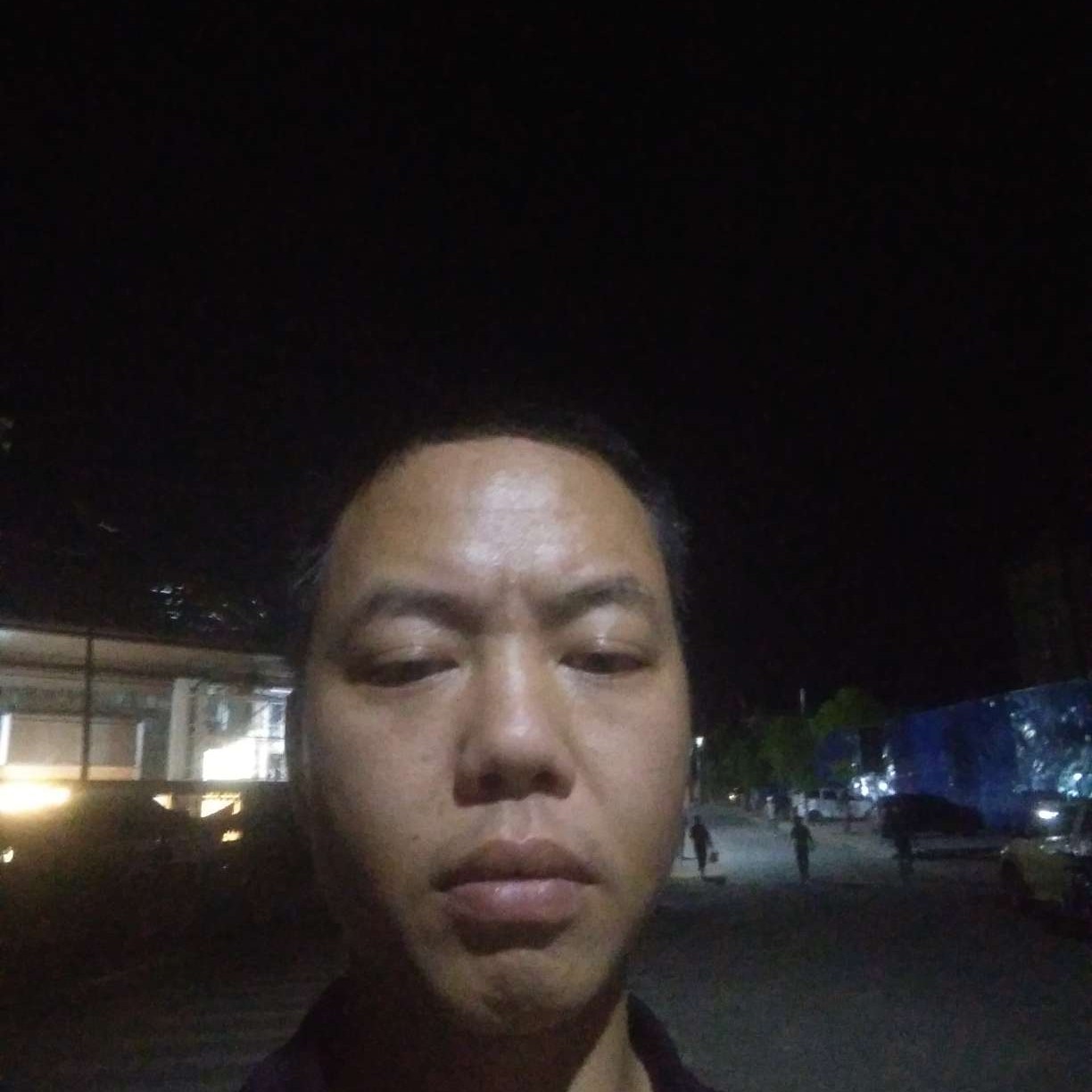 刺猬爱谨慎的照片