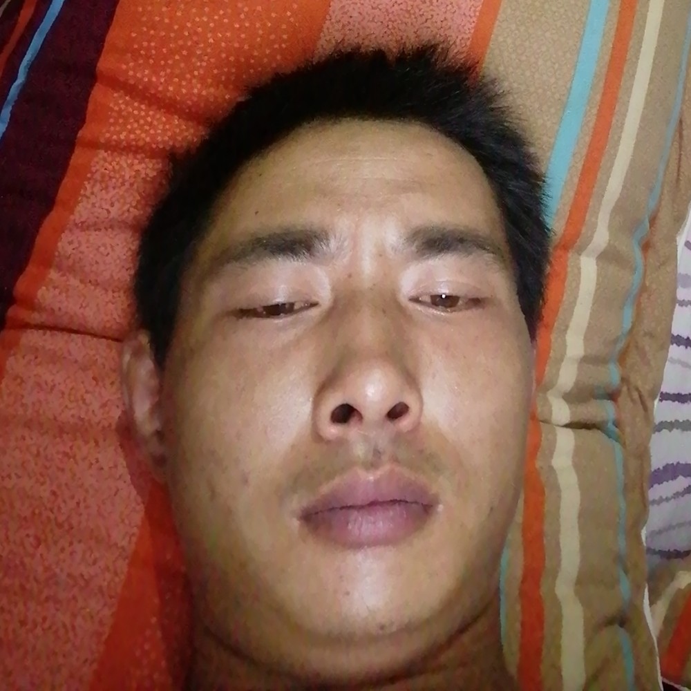 小白菜踢想人陪的照片