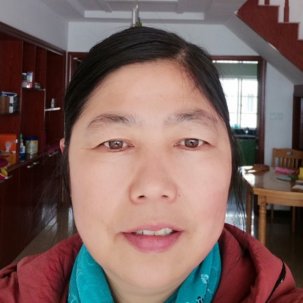 苹果龙猫的照片