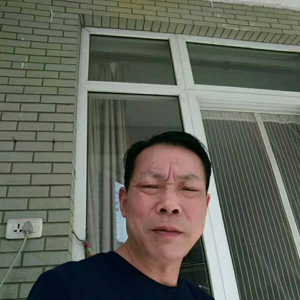 大雁苦恋诚心的照片