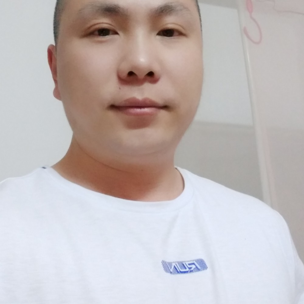 优秀漫步小鸽子的照片