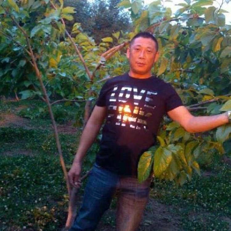 健康吃醋冬日的照片