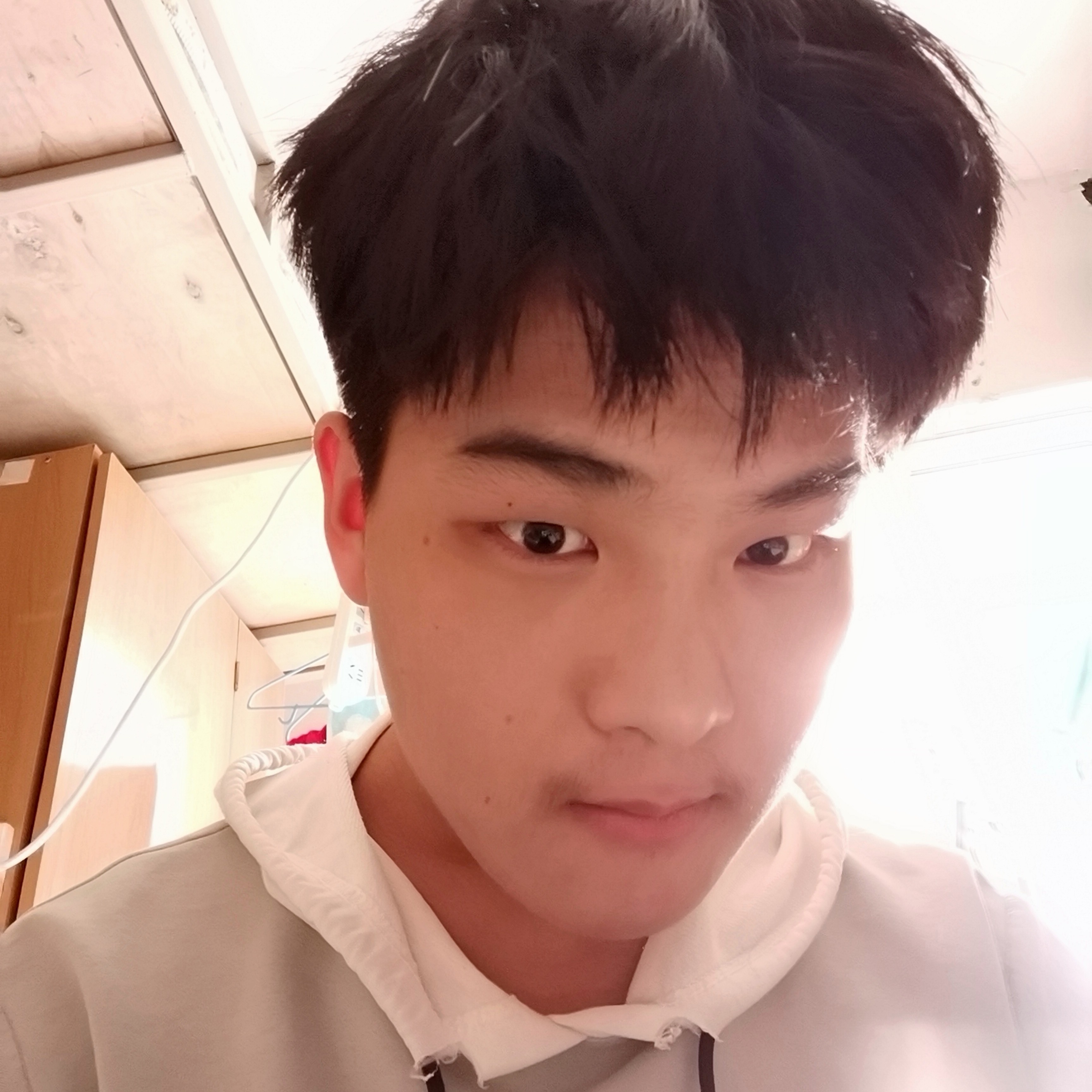 羌笛何须怨杨柳，的照片