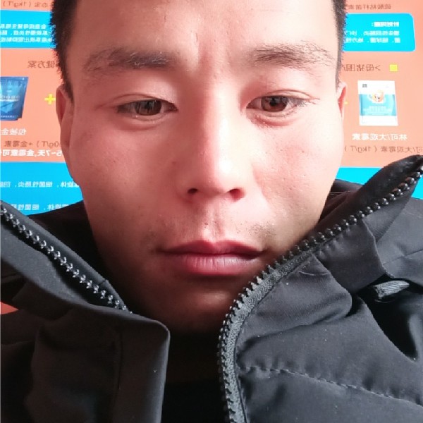 爱在黎明时分的照片