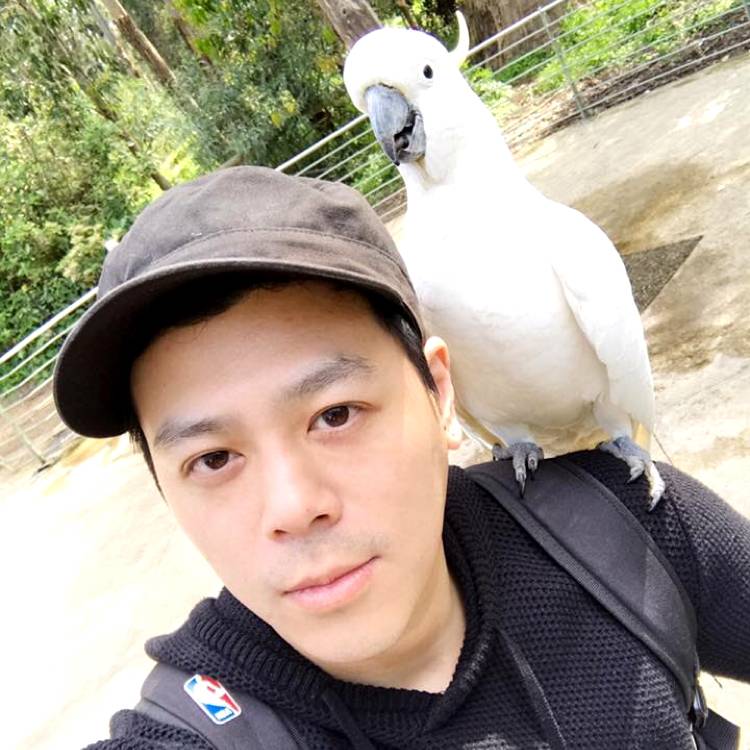 月光下盼着你的照片