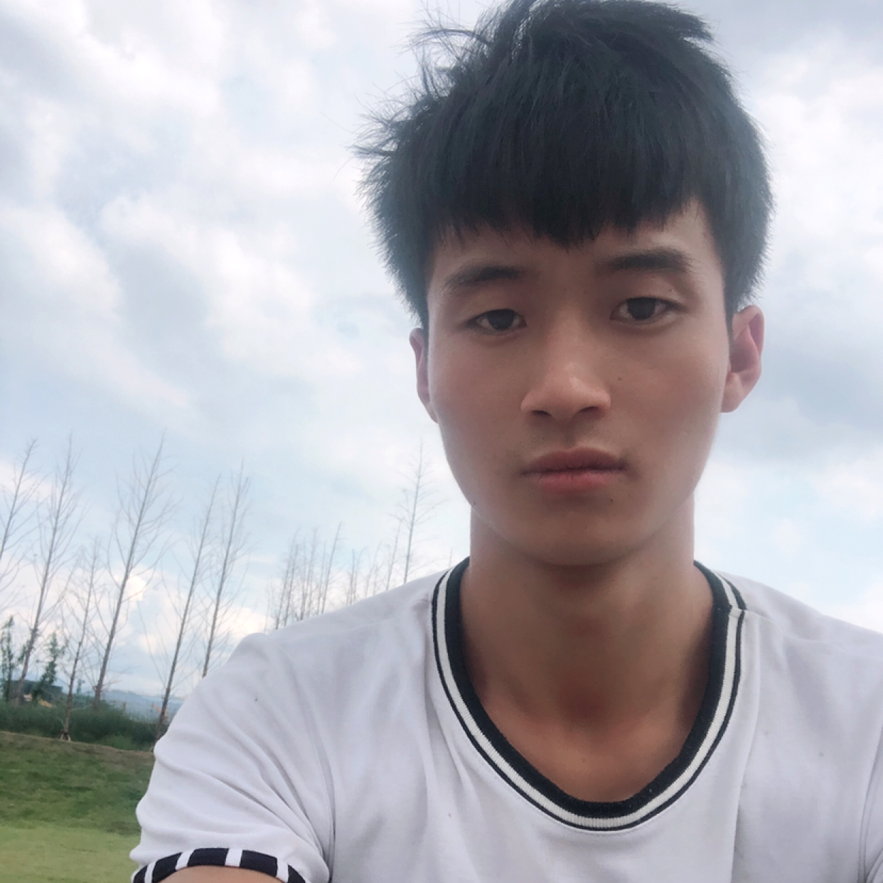 野狼回眸欣喜的照片