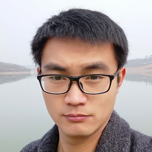 忧郁的熊的照片