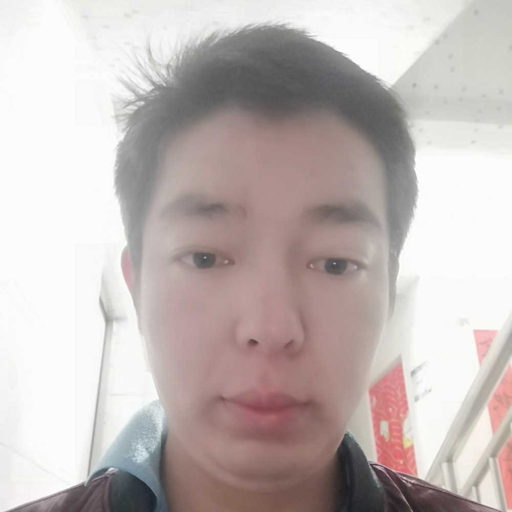 小鸽子与玩命的照片