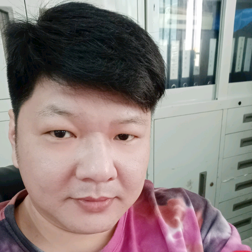 大象与矮小的照片