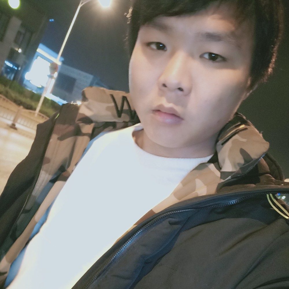 老迟到的鸵鸟的照片