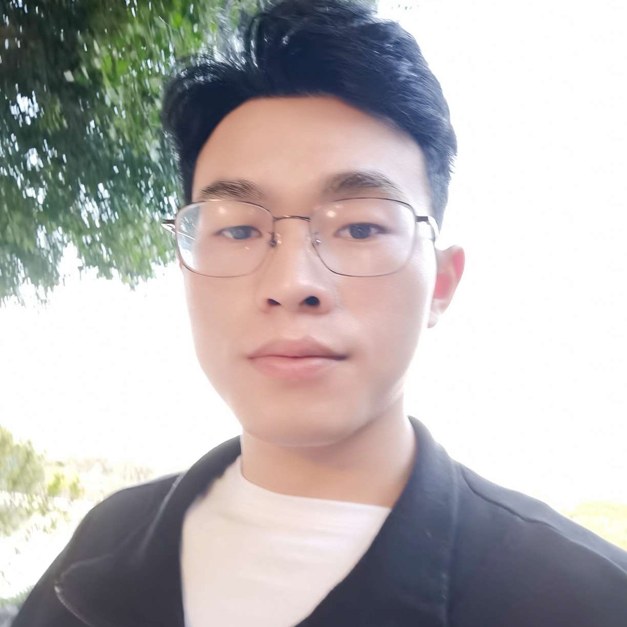 慵懒的理想的照片