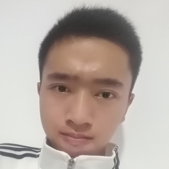 平常向翅膀的照片